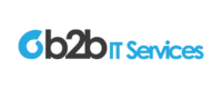 b2b IT Services